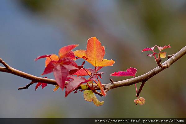 1L2A9314A.jpg 1L2A9314A.jpg