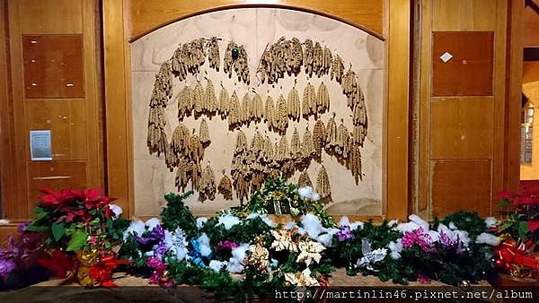 DSC_7725.jpg DSC_7725.jpg