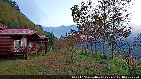 DSC_7731.jpg DSC_7731.jpg