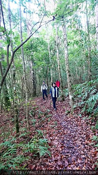 DSC_7762.jpg DSC_7762.jpg