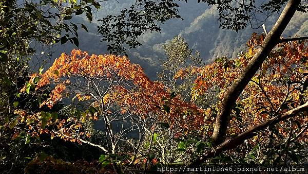 DSC_7792.jpg DSC_7792.jpg