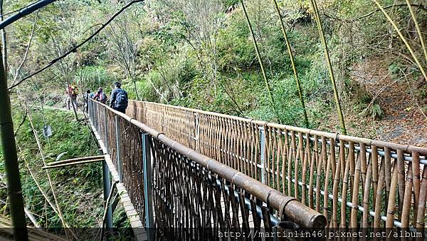 DSC_7895.jpg DSC_7895.jpg