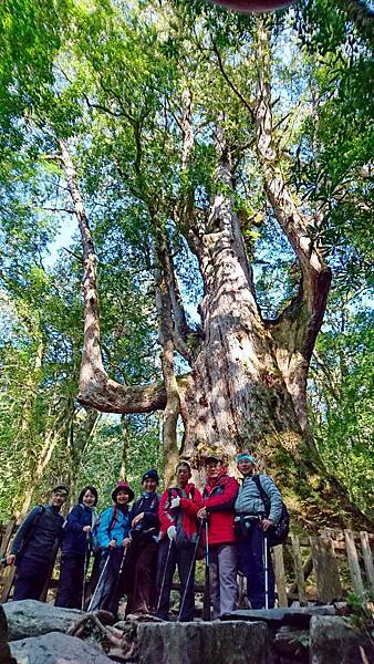 DSC_7887A.jpg DSC_7887A.jpg