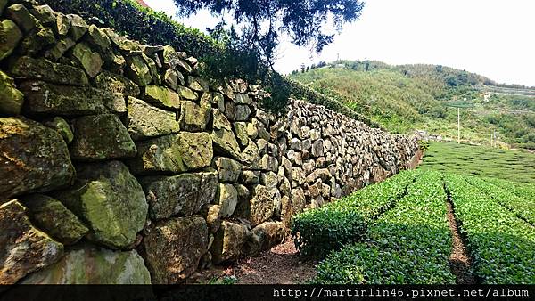 DSC_0063.jpg DSC_0063.jpg