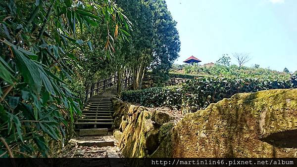 DSC_0061.jpg DSC_0061.jpg