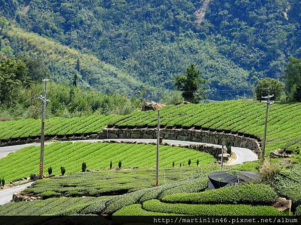 DSCN4505.jpg DSCN4505.jpg