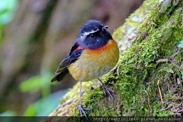 1L2A7441a.jpg 1L2A7441a.jpg