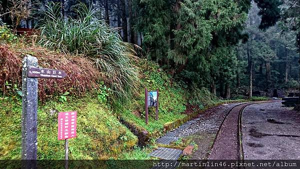 DSC_0503.jpg DSC_0503.jpg