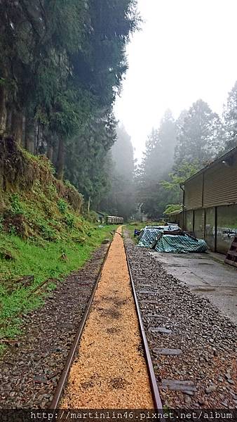 DSC_0507.jpg DSC_0507.jpg