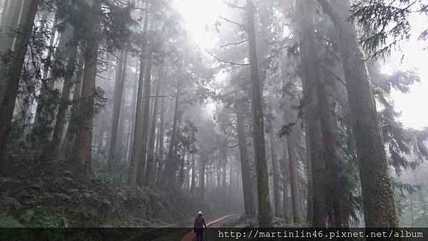 DSC_0533.jpg DSC_0533.jpg