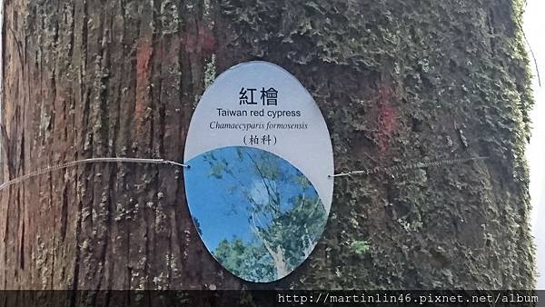 DSC_0540.jpg DSC_0540.jpg