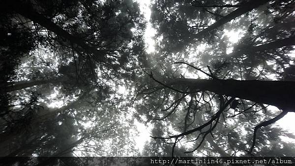 DSC_0534.jpg DSC_0534.jpg