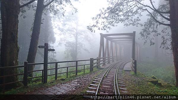 DSC_0556.jpg DSC_0556.jpg