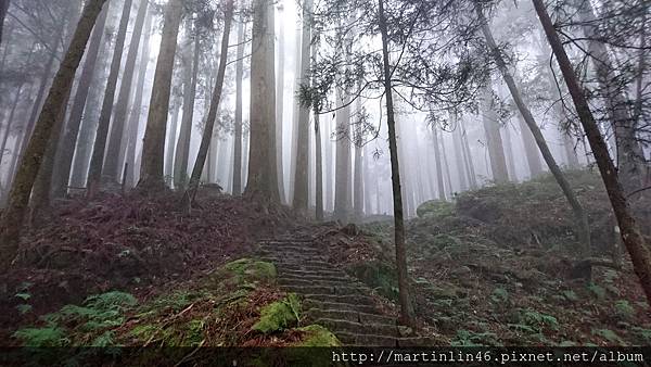 DSC_0558.jpg DSC_0558.jpg