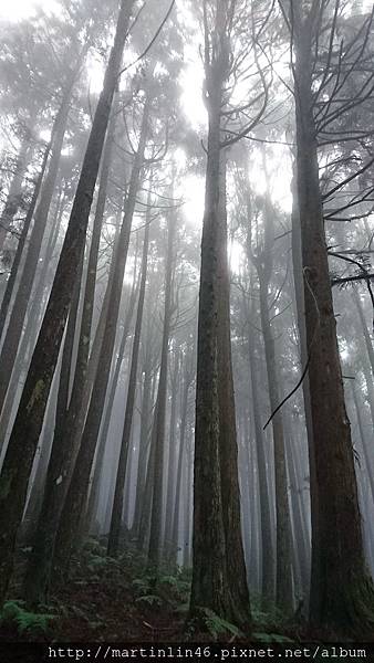 DSC_0563.jpg DSC_0563.jpg