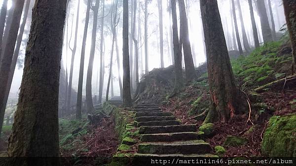 DSC_0573.jpg DSC_0573.jpg