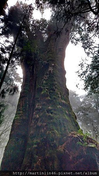 DSC_0578.jpg DSC_0578.jpg