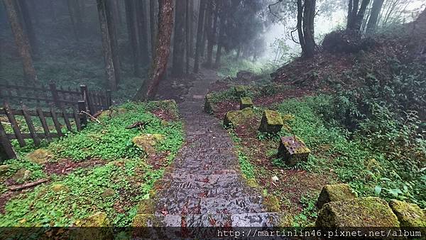 DSC_0621.jpg DSC_0621.jpg