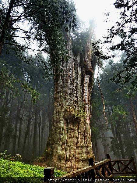 DSCN4650.jpg DSCN4650.jpg