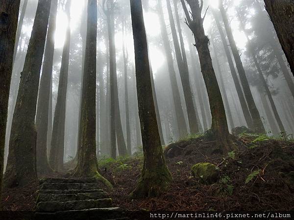 DSCN4668.jpg DSCN4668.jpg