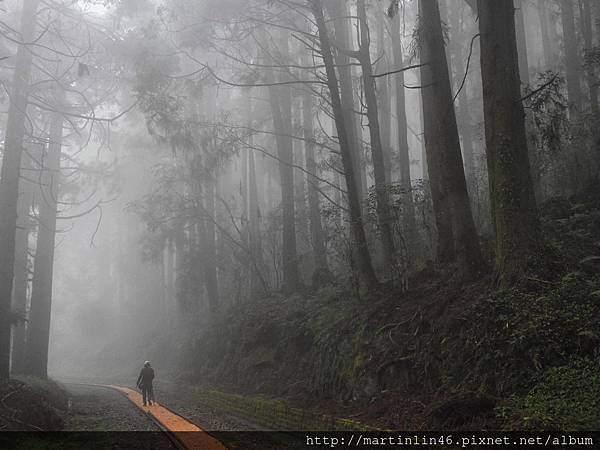 DSCN4696.jpg DSCN4696.jpg