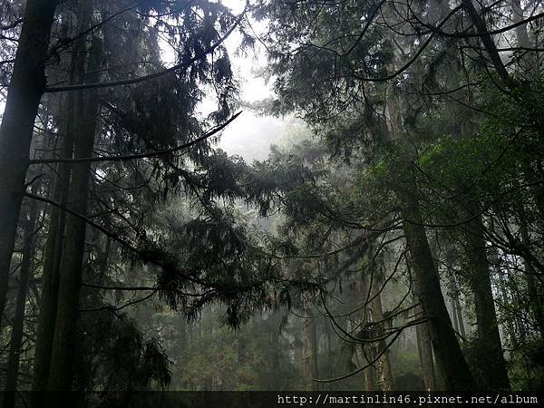 DSCN4688.jpg DSCN4688.jpg