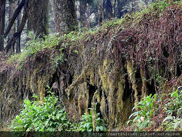 DSCN4724.jpg DSCN4724.jpg