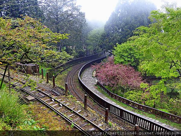 DSCN4733.jpg DSCN4733.jpg