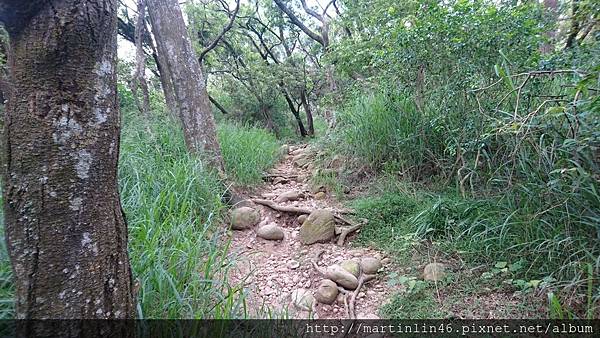 DSC_2935.jpg DSC_2935.jpg