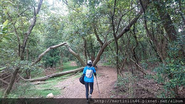 DSC_2939.jpg DSC_2939.jpg