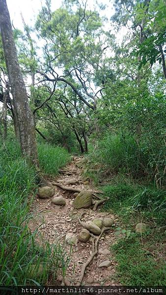 DSC_2936.jpg DSC_2936.jpg