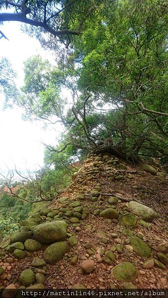 DSC_2968.jpg DSC_2968.jpg