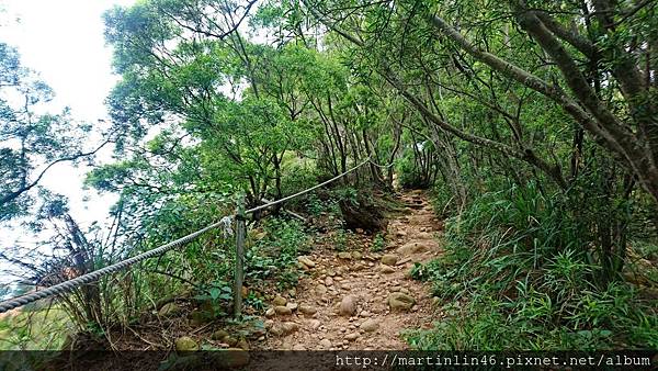 DSC_2953.jpg DSC_2953.jpg