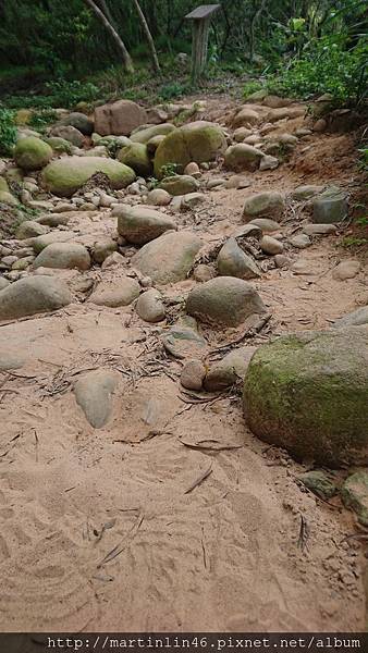 DSC_2948.jpg DSC_2948.jpg