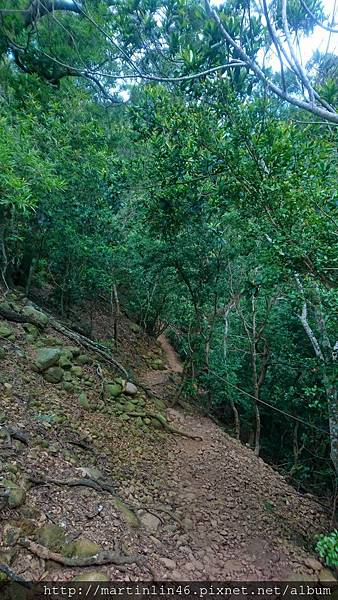 DSC_2969.jpg DSC_2969.jpg