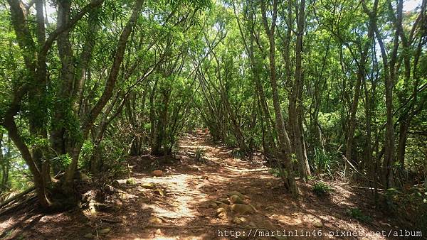 DSC_2996.jpg DSC_2996.jpg