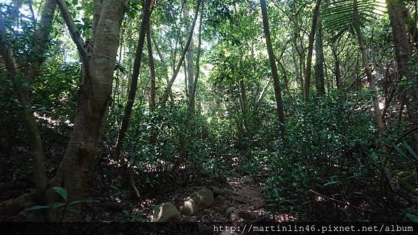 DSC_3006.jpg DSC_3006.jpg