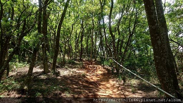 DSC_3012.jpg DSC_3012.jpg