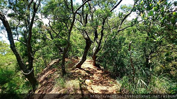 DSC_3020.jpg DSC_3020.jpg