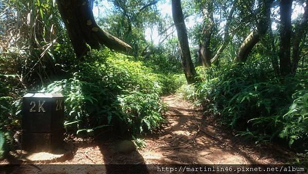 DSC_3077A.jpg DSC_3077A.jpg