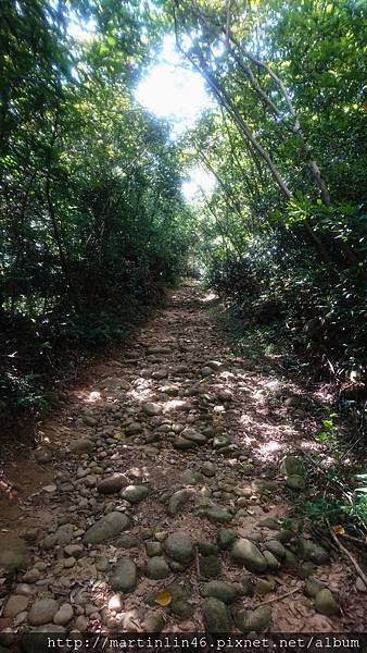 DSC_3118A.jpg DSC_3118A.jpg