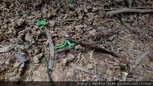 DSC_3115A.jpg DSC_3115A.jpg