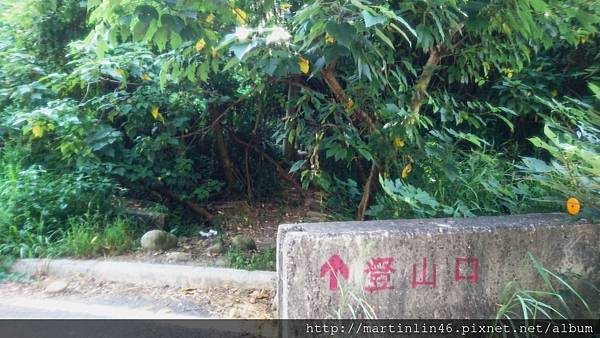 DSC_3129A.jpg DSC_3129A.jpg