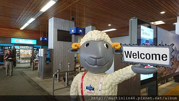 DSC_0213.jpg DSC_0213.jpg