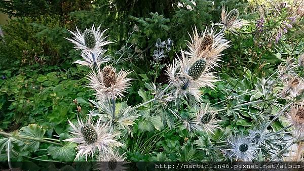 DSC_0362.jpg DSC_0362.jpg