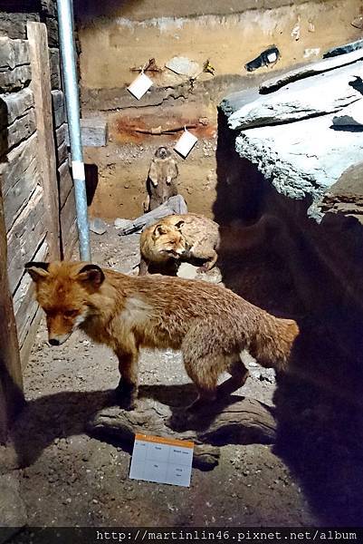 DSC_0316.JPG DSC_0316.JPG