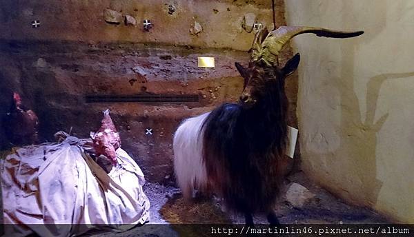 DSC_0323.JPG DSC_0323.JPG