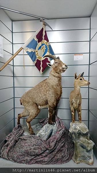 DSC_0317.JPG DSC_0317.JPG