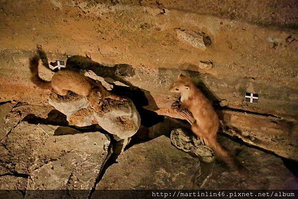 1L2A0464.JPG 1L2A0464.JPG