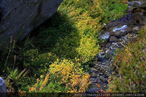 1L2A1011a.jpg 1L2A1011a.jpg